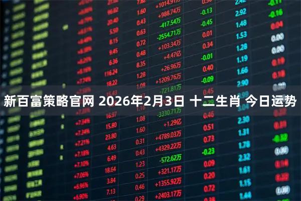 新百富策略官网 2026年2月3日 十二生肖 今日运势