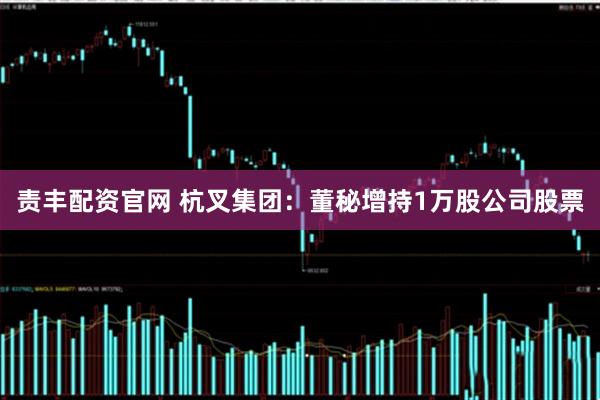 责丰配资官网 杭叉集团：董秘增持1万股公司股票