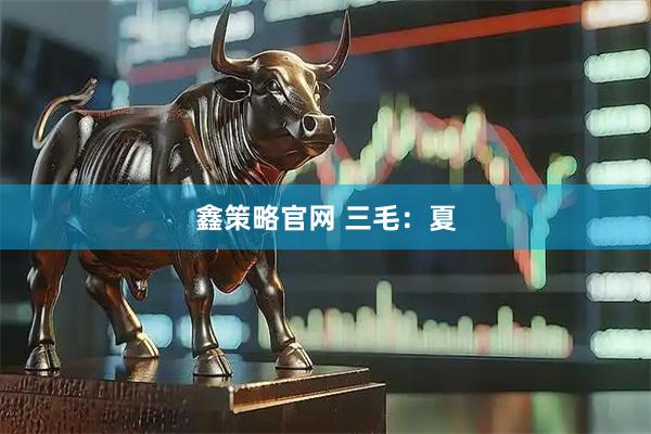 鑫策略官网 三毛：夏